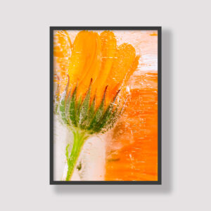 Poster prints fine art prints art print for Personalised digital art, expertly printed and framed in your choice of styles. Each piece is made to order with precision and care, ensuring a perfect fit for your space. We deliver anywhere in South Africa, bringing custom-made creativity right to your doorstep. Wall art online. Office decor art for boardroom, bedroom decor art for room
