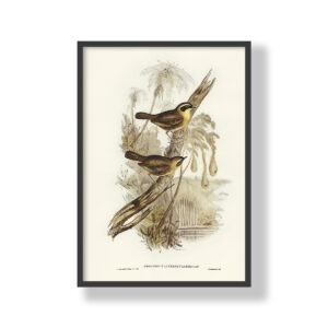 Poster prints fine art prints art print for Personalised digital art, expertly printed and framed in your choice of styles. Each piece is made to order with precision and care, ensuring a perfect fit for your space. We deliver anywhere in South Africa, bringing custom-made creativity right to your doorstep. Wall art online. Office decor art for boardroom, bedroom decor art for room