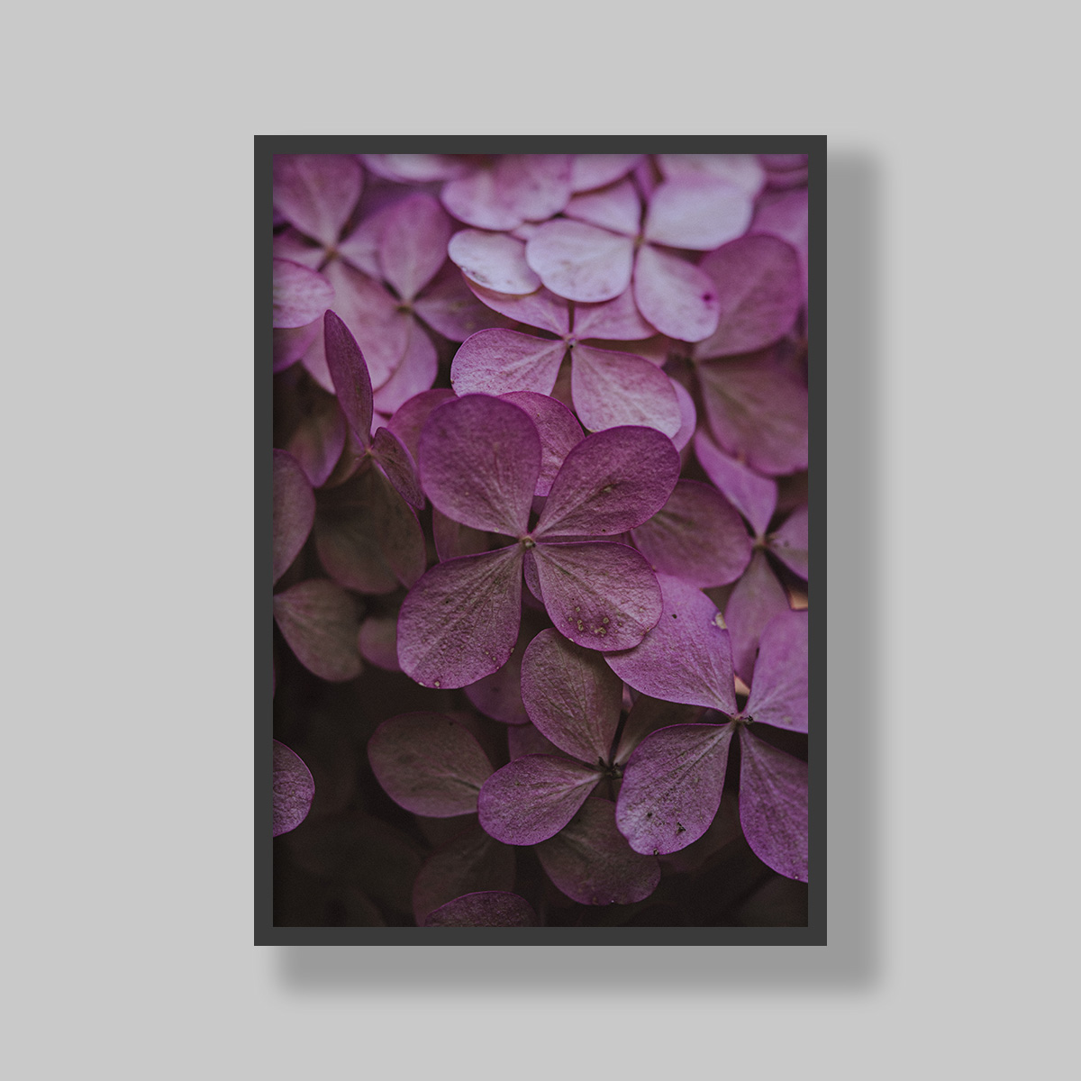 Enhance your space with stunning botanical poster prints and fine art prints, expertly printed and framed to suit your style. Our personalised botanical artwork brings nature's beauty indoors, adding a fresh, organic touch to any room. Each print is made to order with precision and care, ensuring a perfect fit for your decor. From living rooms to home offices and bedrooms, our custom-made botanical art transforms any space. We deliver across South Africa, making it easy to bring nature-inspired creativity right to your doorstep. Discover our botanical wall art and elevate your room’s atmosphere!