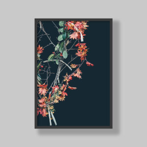 Enhance your space with stunning botanical poster prints and fine art prints, expertly printed and framed to suit your style. Our personalised botanical artwork brings nature's beauty indoors, adding a fresh, organic touch to any room. Each print is made to order with precision and care, ensuring a perfect fit for your decor. From living rooms to home offices and bedrooms, our custom-made botanical art transforms any space. We deliver across South Africa, making it easy to bring nature-inspired creativity right to your doorstep. Discover our botanical wall art and elevate your room’s atmosphere!