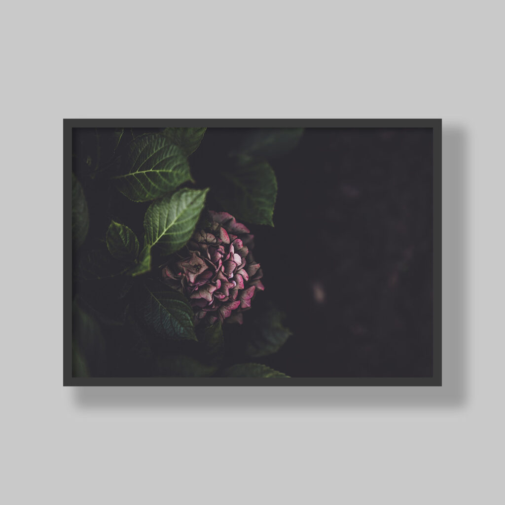 Enhance your space with stunning botanical poster prints and fine art prints, expertly printed and framed to suit your style. Our personalised botanical artwork brings nature's beauty indoors, adding a fresh, organic touch to any room. Each print is made to order with precision and care, ensuring a perfect fit for your decor. From living rooms to home offices and bedrooms, our custom-made botanical art transforms any space. We deliver across South Africa, making it easy to bring nature-inspired creativity right to your doorstep. Discover our botanical wall art and elevate your room’s atmosphere!