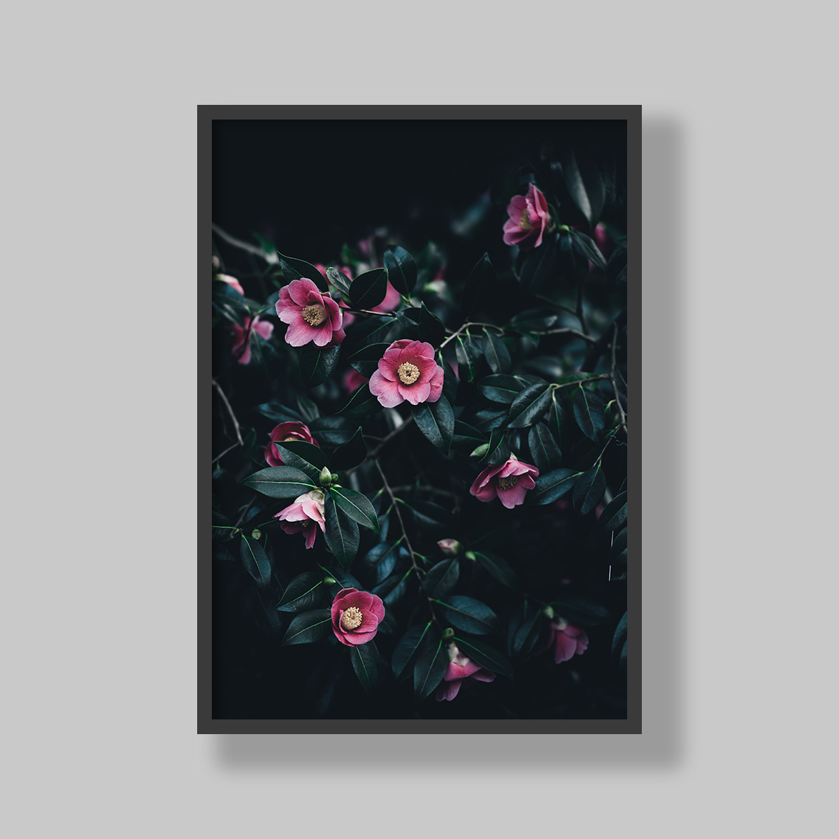 Enhance your space with stunning botanical poster prints and fine art prints, expertly printed and framed to suit your style. Our personalised botanical artwork brings nature's beauty indoors, adding a fresh, organic touch to any room. Each print is made to order with precision and care, ensuring a perfect fit for your decor. From living rooms to home offices and bedrooms, our custom-made botanical art transforms any space. We deliver across South Africa, making it easy to bring nature-inspired creativity right to your doorstep. Discover our botanical wall art and elevate your room’s atmosphere!