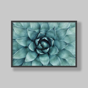 Enhance your space with stunning botanical poster prints and fine art prints, expertly printed and framed to suit your style. Our personalised botanical artwork brings nature's beauty indoors, adding a fresh, organic touch to any room. Each print is made to order with precision and care, ensuring a perfect fit for your decor. From living rooms to home offices and bedrooms, our custom-made botanical art transforms any space. We deliver across South Africa, making it easy to bring nature-inspired creativity right to your doorstep. Discover our botanical wall art and elevate your room’s atmosphere!