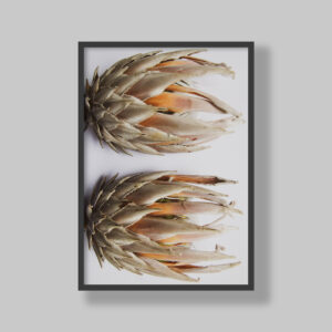 Enhance your space with stunning botanical poster prints and fine art prints, expertly printed and framed to suit your style. Our personalised botanical artwork brings nature's beauty indoors, adding a fresh, organic touch to any room. Each print is made to order with precision and care, ensuring a perfect fit for your decor. From living rooms to home offices and bedrooms, our custom-made botanical art transforms any space. We deliver across South Africa, making it easy to bring nature-inspired creativity right to your doorstep. Discover our botanical wall art and elevate your room’s atmosphere!