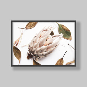 Enhance your space with stunning botanical poster prints and fine art prints, expertly printed and framed to suit your style. Our personalised botanical artwork brings nature's beauty indoors, adding a fresh, organic touch to any room. Each print is made to order with precision and care, ensuring a perfect fit for your decor. From living rooms to home offices and bedrooms, our custom-made botanical art transforms any space. We deliver across South Africa, making it easy to bring nature-inspired creativity right to your doorstep. Discover our botanical wall art and elevate your room’s atmosphere!