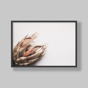 Enhance your space with stunning botanical poster prints and fine art prints, expertly printed and framed to suit your style. Our personalised botanical artwork brings nature's beauty indoors, adding a fresh, organic touch to any room. Each print is made to order with precision and care, ensuring a perfect fit for your decor. From living rooms to home offices and bedrooms, our custom-made botanical art transforms any space. We deliver across South Africa, making it easy to bring nature-inspired creativity right to your doorstep. Discover our botanical wall art and elevate your room’s atmosphere!