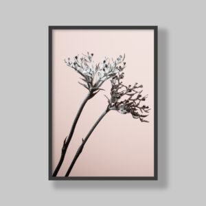 Poster prints fine art prints art print for Personalised digital art, expertly printed and framed in your choice of styles. Each piece is made to order with precision and care, ensuring a perfect fit for your space. We deliver anywhere in South Africa, bringing custom-made creativity right to your doorstep. Wall art online. Office decor art for boardroom, bedroom decor art for room