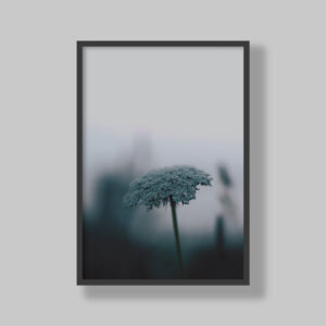 Enhance your space with stunning botanical poster prints and fine art prints, expertly printed and framed to suit your style. Our personalised botanical artwork brings nature's beauty indoors, adding a fresh, organic touch to any room. Each print is made to order with precision and care, ensuring a perfect fit for your decor. From living rooms to home offices and bedrooms, our custom-made botanical art transforms any space. We deliver across South Africa, making it easy to bring nature-inspired creativity right to your doorstep. Discover our botanical wall art and elevate your room’s atmosphere!