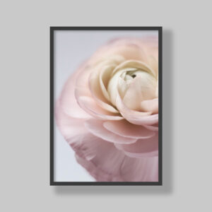 Enhance your space with stunning botanical poster prints and fine art prints, expertly printed and framed to suit your style. Our personalised botanical artwork brings nature's beauty indoors, adding a fresh, organic touch to any room. Each print is made to order with precision and care, ensuring a perfect fit for your decor. From living rooms to home offices and bedrooms, our custom-made botanical art transforms any space. We deliver across South Africa, making it easy to bring nature-inspired creativity right to your doorstep. Discover our botanical wall art and elevate your room’s atmosphere!