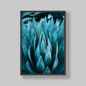 Enhance your space with stunning botanical poster prints and fine art prints, expertly printed and framed to suit your style. Our personalised botanical artwork brings nature's beauty indoors, adding a fresh, organic touch to any room. Each print is made to order with precision and care, ensuring a perfect fit for your decor. From living rooms to home offices and bedrooms, our custom-made botanical art transforms any space. We deliver across South Africa, making it easy to bring nature-inspired creativity right to your doorstep. Discover our botanical wall art and elevate your room’s atmosphere!