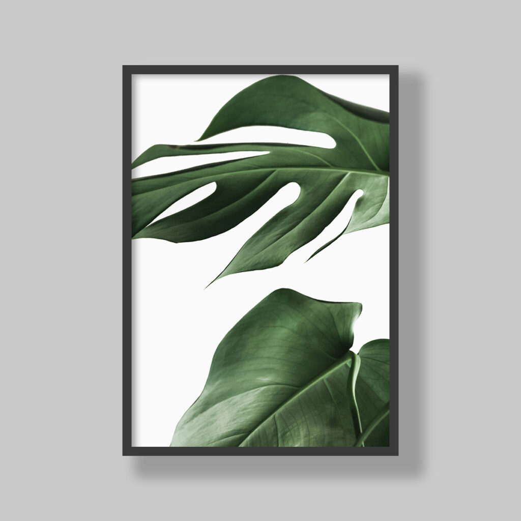 Enhance your space with stunning botanical poster prints and fine art prints, expertly printed and framed to suit your style. Our personalised botanical artwork brings nature's beauty indoors, adding a fresh, organic touch to any room. Each print is made to order with precision and care, ensuring a perfect fit for your decor. From living rooms to home offices and bedrooms, our custom-made botanical art transforms any space. We deliver across South Africa, making it easy to bring nature-inspired creativity right to your doorstep. Discover our botanical wall art and elevate your room’s atmosphere!