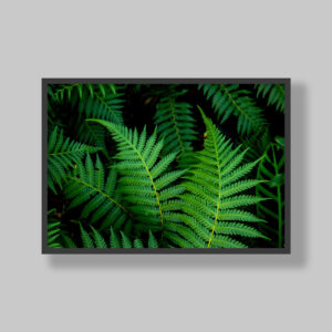Enhance your space with stunning botanical poster prints and fine art prints, expertly printed and framed to suit your style. Our personalised botanical artwork brings nature's beauty indoors, adding a fresh, organic touch to any room. Each print is made to order with precision and care, ensuring a perfect fit for your decor. From living rooms to home offices and bedrooms, our custom-made botanical art transforms any space. We deliver across South Africa, making it easy to bring nature-inspired creativity right to your doorstep. Discover our botanical wall art and elevate your room’s atmosphere!