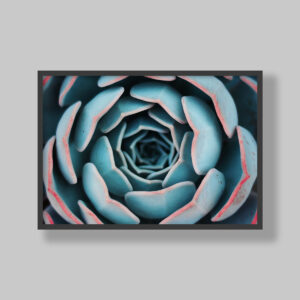 Enhance your space with stunning botanical poster prints and fine art prints, expertly printed and framed to suit your style. Our personalised botanical artwork brings nature's beauty indoors, adding a fresh, organic touch to any room. Each print is made to order with precision and care, ensuring a perfect fit for your decor. From living rooms to home offices and bedrooms, our custom-made botanical art transforms any space. We deliver across South Africa, making it easy to bring nature-inspired creativity right to your doorstep. Discover our botanical wall art and elevate your room’s atmosphere!
