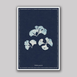 Dark Blue Fan Algae Study