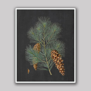 Pine Branch with Hanging Cones