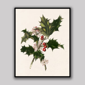 Ivory Holly Branch