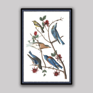 Songbirds on Scarlet Branch