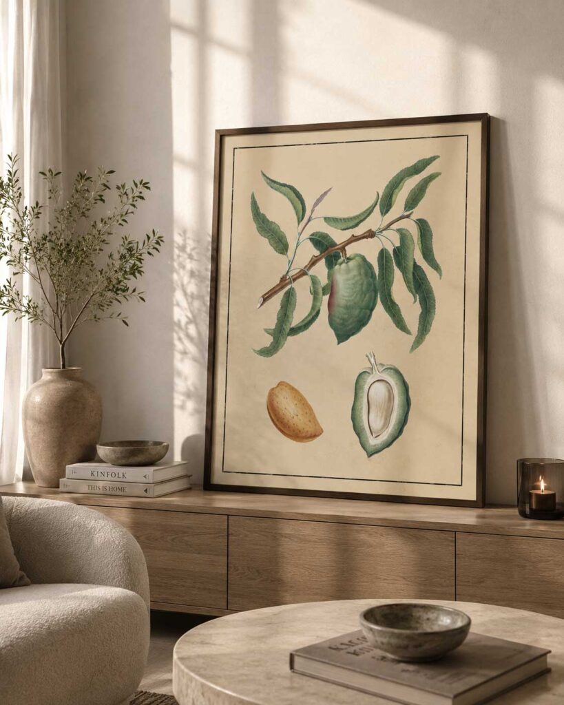 Almond Botanical Study