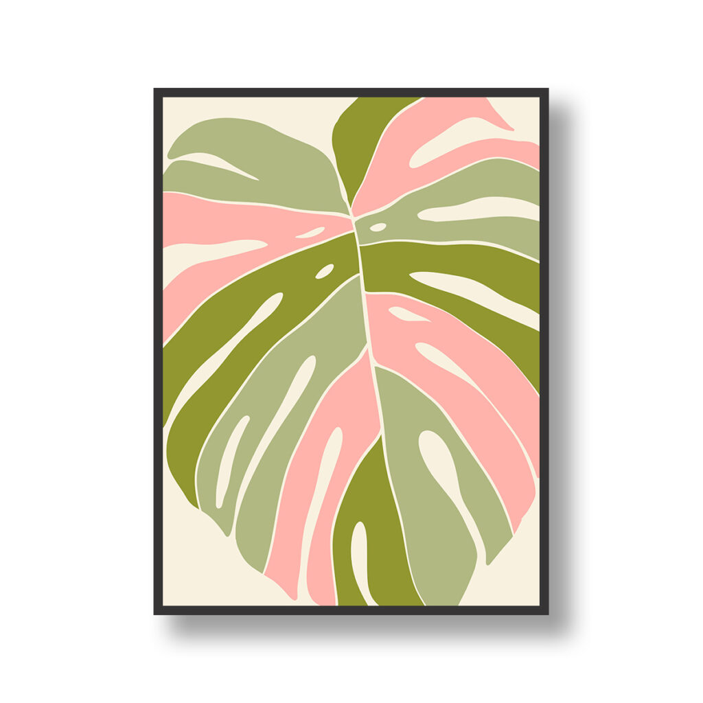 Blush Monstera