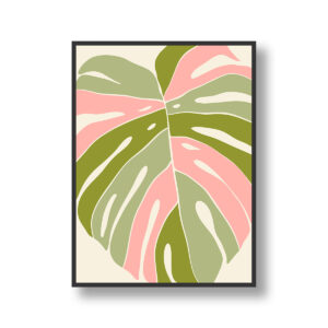 Blush Monstera