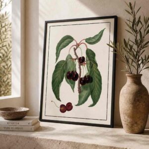 Cherry Botanical Study Light