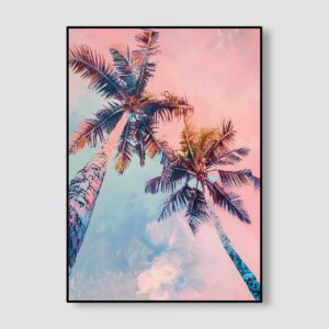 Cotton Candy Palms