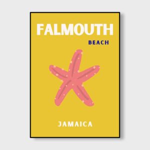 Falmouth Starfish