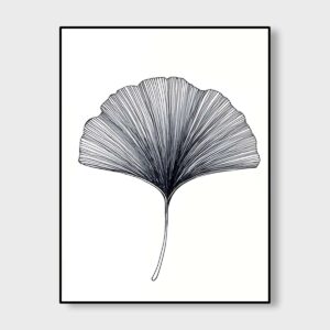 Fan Leaf