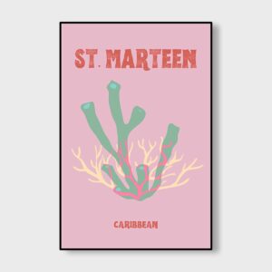 St Marteen Coral