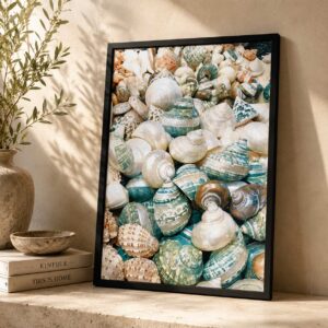 Aqua Shell Collection