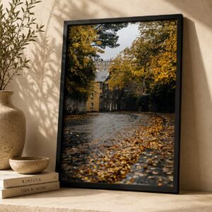 Autumn City Canal