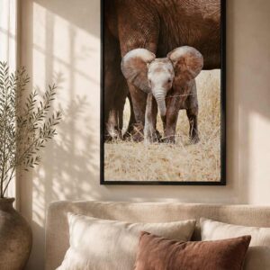 Baby Elephant Steps