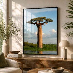 Baobab Meadow Giant