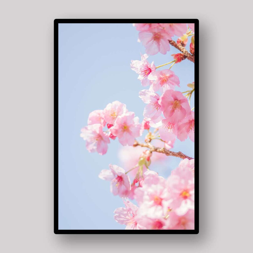 Blossom Branch Detail