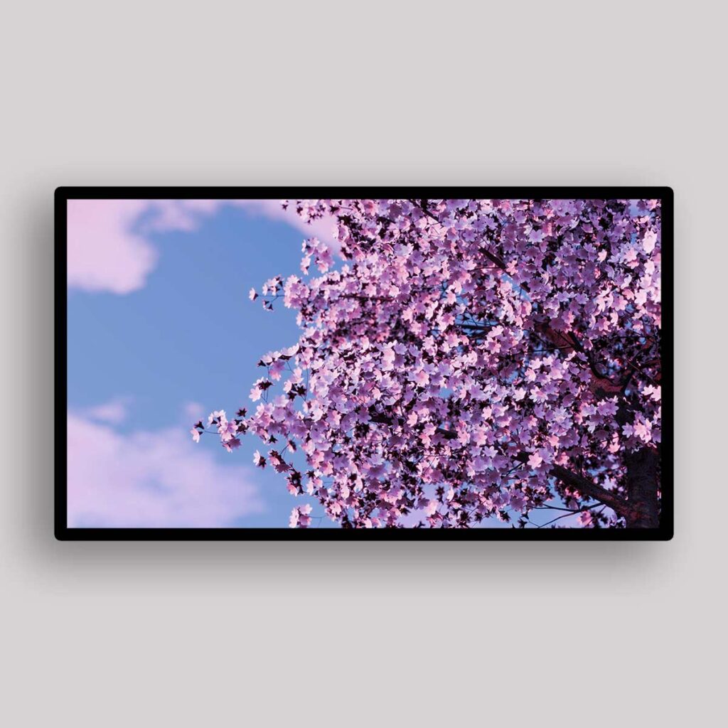 Blossom Canopy Sky