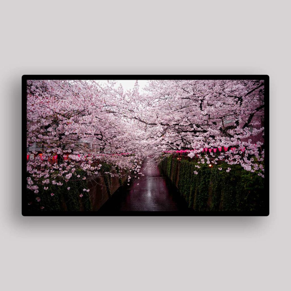 Blossom Tunnel Walk