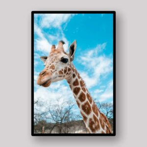 Blue Sky Giraffe