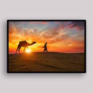 Camel Sunset Walk