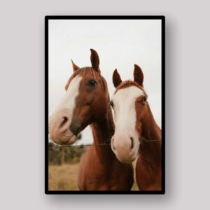 Chestnut Horse Pair