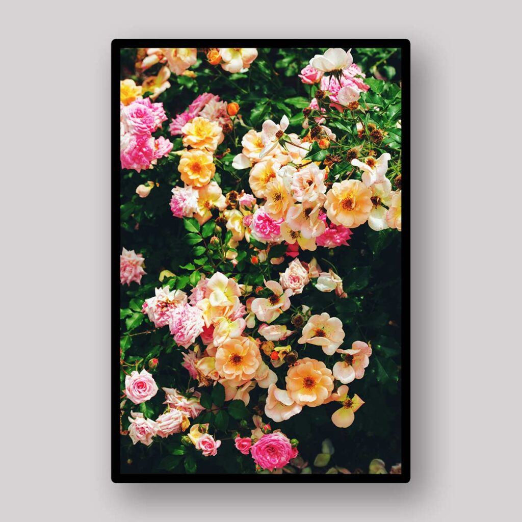 Climbing Floral Wall