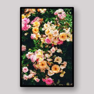 Climbing Floral Wall