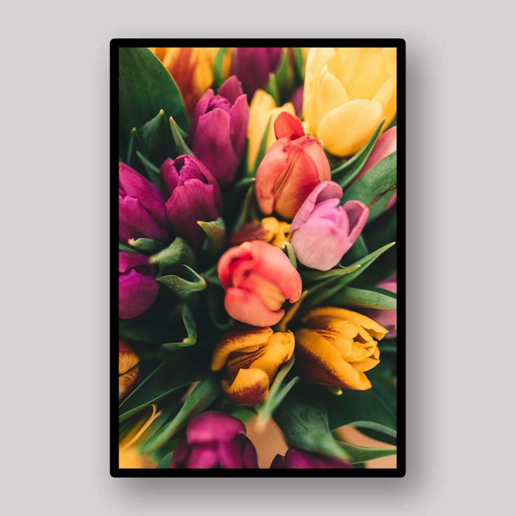 Colorful Tulip Bouquet