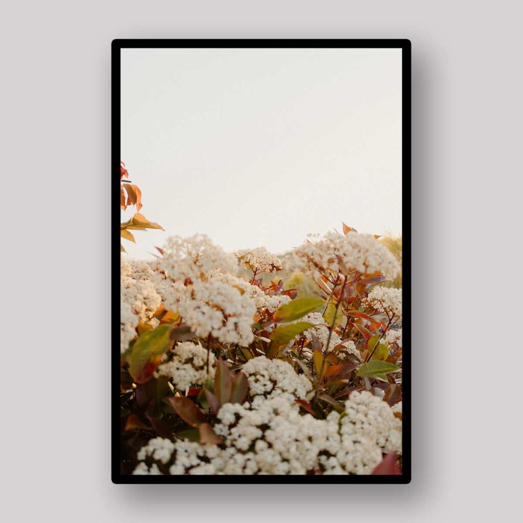 Cream Floral Cluster