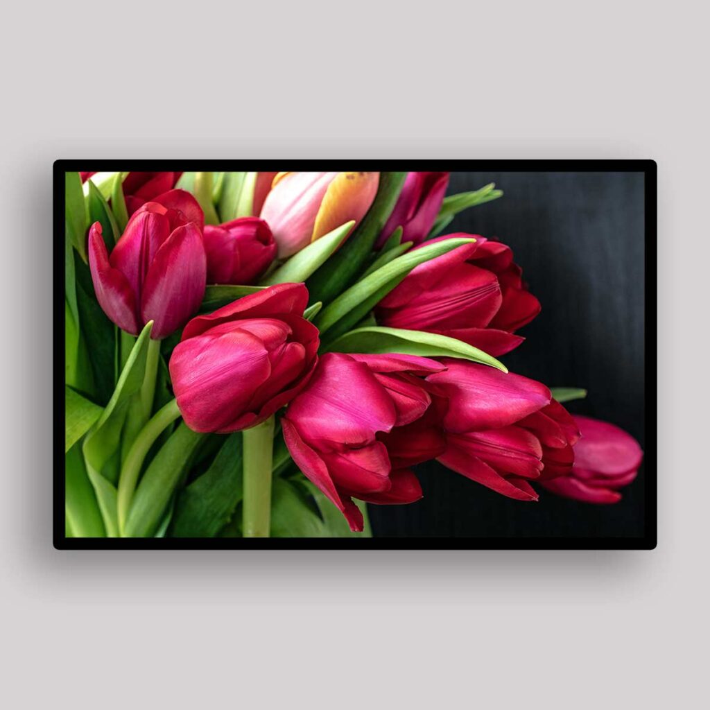 Crimson Tulip Bouquet