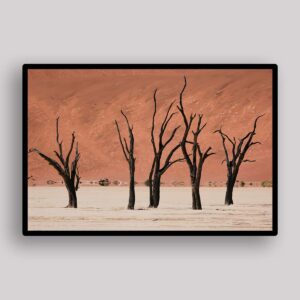 Dead Vlei Panorama