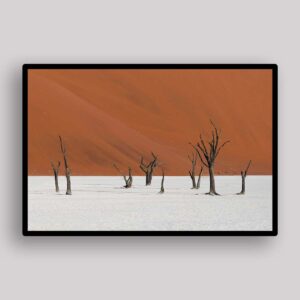 Dead Vlei Trees