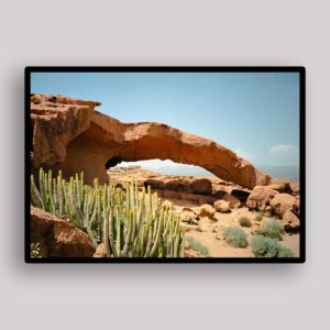 Desert Arch Cactus