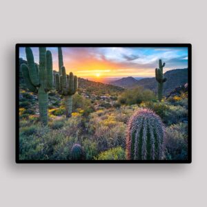 Desert Cactus Sunset