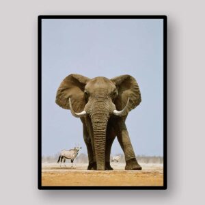 Desert Elephant Giant