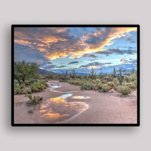 Desert Puddle Sunset